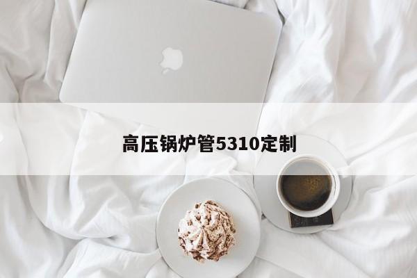 高壓鍋爐管5310定制